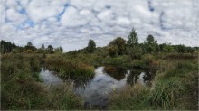 Осенняя / Маленькая речка осень панорама 5 кадров