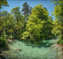 Croatia. Plitvice Lakes #01 / прозрачная, голубая как в бассейне, вода Плитвицких озер покрывает большие участки леса, а ходят по парку через всё это великолепие в основном по бревенчатым мостикам-дорожкам...
