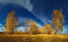 Gold'n'Blue / Осень Челябинск