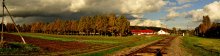 Сельская осень / Осенний вид села Витебской области. Столб с левой стороны, словно циркуль измеряющий площадь полей