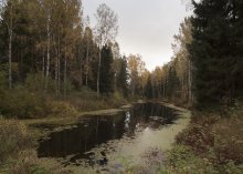 Октябрь / Парк в Павловске 2012г.