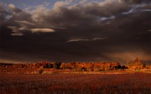 Transparent Autumn on red soil / Прозрачная осень на красной почве