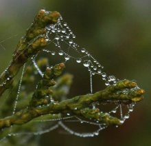 / Бриллианты октября