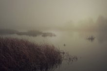 Утро в октябре / Туман на реке Воронеж