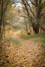 Лесопарк 2 / ***