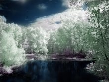 another world / IR foto