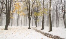 Первый снег / Первый снег