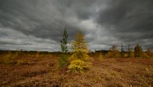 introducing the land of Tundra / introducing the land of Tundra