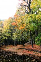Осень / Пруд в пареке