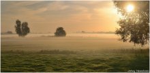 Carpet of fog. / A mistly and sunny morning...