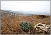 Самария / Самария или Шамрон - Гористая  местность находящаяся к северу от Иерусалима