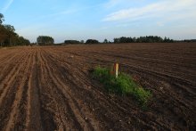 и корабль плывет / ***