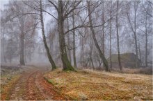 Поздняя осень / В ноябре, за околицей