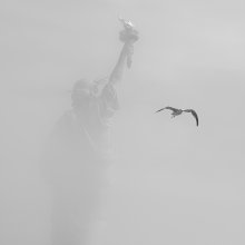 Свобода в тумане / .....