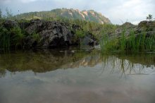 На берегах Катуни. / ***