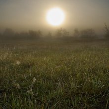 Босиком по утренней росе / ***