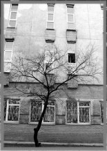 Тревога / ***