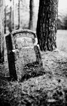 последний приют / кладбище жертв далёкой первой мировой войны около деревни Проньки, Мядельского района