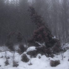  / харьковская обл.