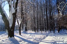 Декабрьское настроение / Городской парк после первого снегопада