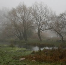 В утреней тишине. / Один из уголков природы Южного Буга в конце ноября месяца.