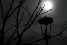 Улицы Разбитых фонарей Королевства полной луны. / Фотография разбитого фонаря на фоне ночного неба.