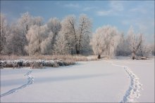 По следам Деда Мороза и Снегурочки / Поздравляю всех друзей-Фотографов и Фотографинь с Новым Годом!