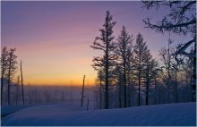 Приветствие Нового года / Таймыр. Полярная ночь