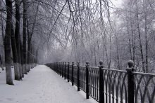 Заснеженная аллея / Центр города, снег.