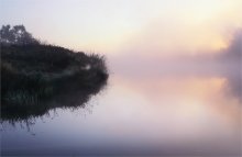 бобр / утро  туман река