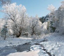 Заводь реки Куба / Алтай