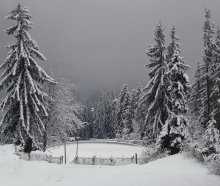 Белым снегом зима запорошила.... / Польша, Закопане