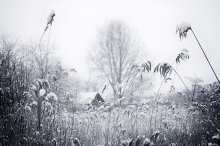 Зима в деревеньке / зима, снег, домик