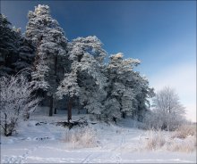 Возвращаясь на берег / Озеро Ершинное