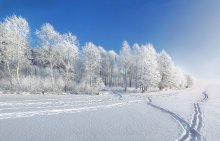 Сегодняшний морозный денёк) / !!!