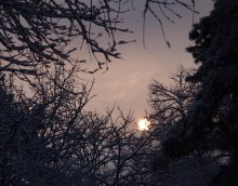 солнце зимой / солнце зимой, в парке,ВДНХ,Киев