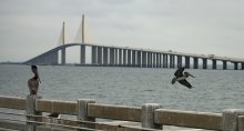 о мостах и птицах / мост на Санкт-Петербург, Флорида