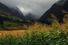 о чём шепчут травы / Lahaina, Hawaii
