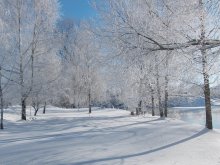 ХРУСТАЛЬНЫЙ ЯНВАРЬ / январские морозы