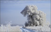 Январский этюд / ...