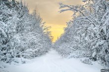 Дорога в теплые тона / Поселок Седью, республика Коми. Не очень морозный январь 2013.
