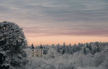 зима в Литве / зима
