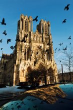 Notre-Dame de Reims / ------