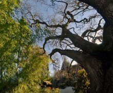 в японском садике / Hakone Gardens
21000 Big Basin Way
Saratoga, CA 95070