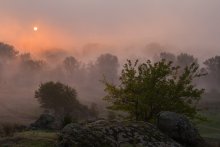 Дыхание утреннего тумана. / Утренние краски перемешанного солнечного света с туманом.