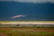 Розовые облака / Снято в национальном парке Нгоронгоро в Танзании, Африка, май 2012.