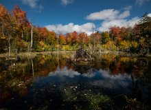 unnamed pond @ Gatineau Park / unnamed pond @ Gatineau Park