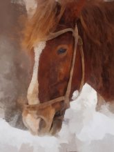 Red horse / лошадь,фото арт