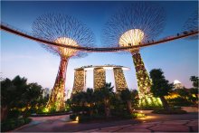 &nbsp; / Gardens by the Bay, Singapore