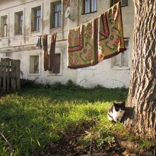 &quot;А мой коврик давно не стирали...&quot; / В ростовском дворике.